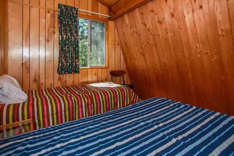 Cozy Bear Cottage