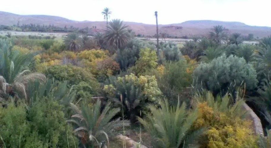 Kasbah Oasis Afra