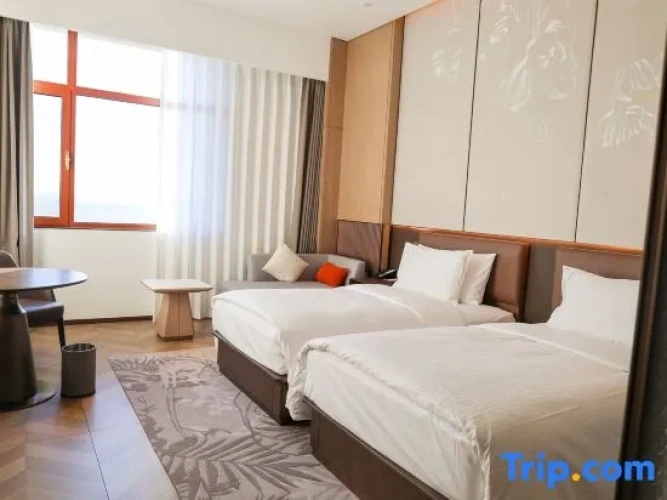 Deluxe Twin room with view