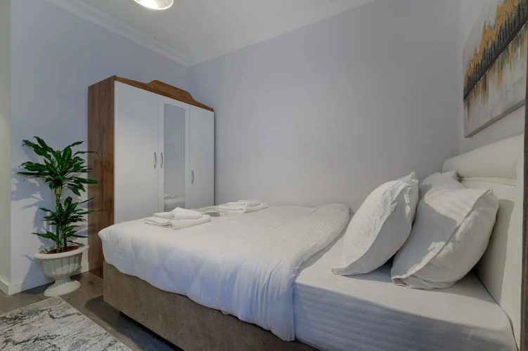Luxury Apartment