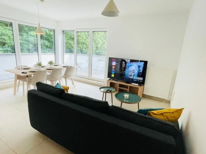 Deluxe Apartment