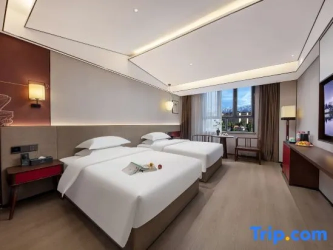 Standard Twin room with mountain view