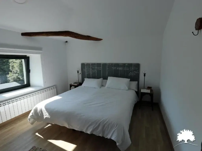 Standard Double room with garden view