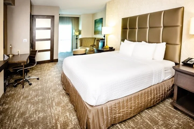 Single Junior Suite