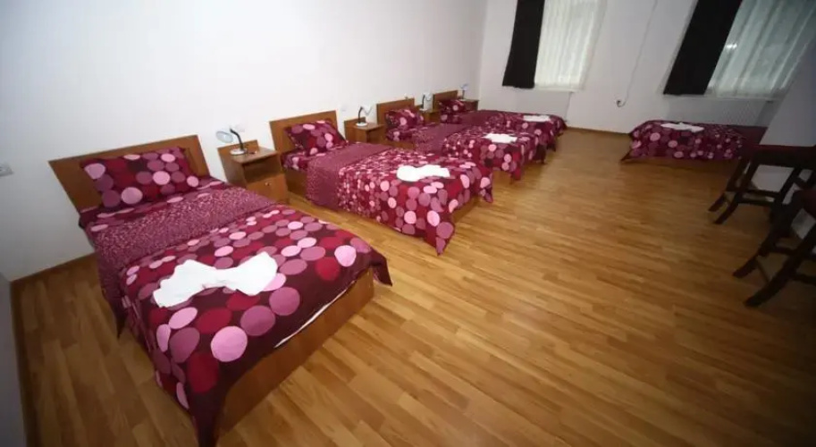 Hostel Lion