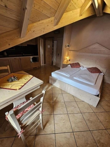 Superior Studio with balcony and with mountain view