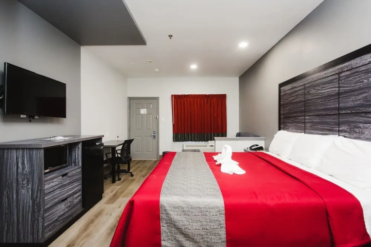 Standard Single room