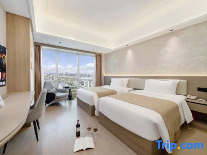 Premium Twin room with city view
