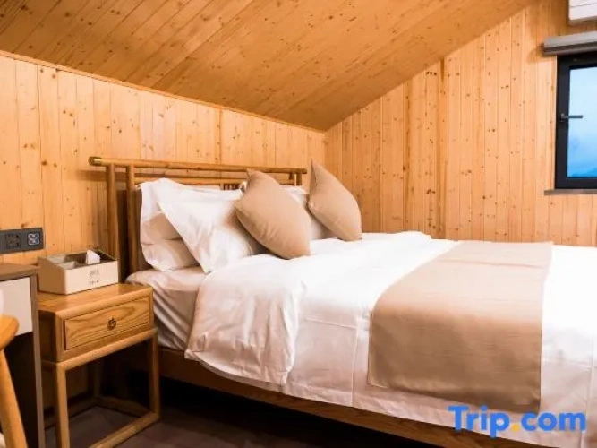 Standard Attic room