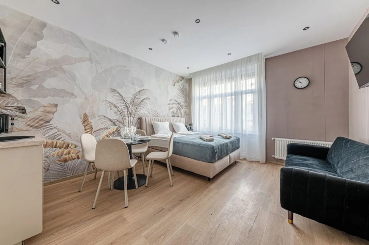 1 Bedroom Apartment