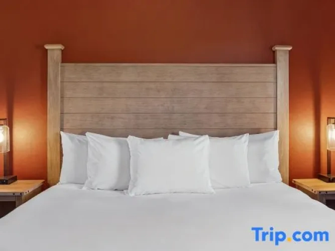 1 Bedroom Standard room