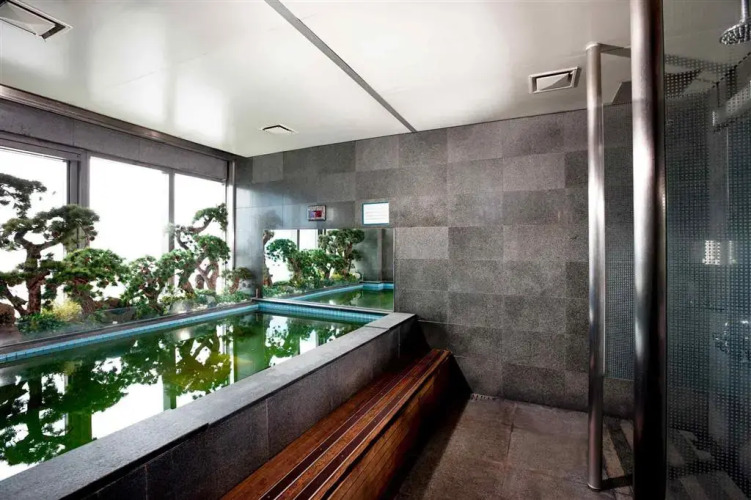 宜必思大使首尔明洞酒店外景图