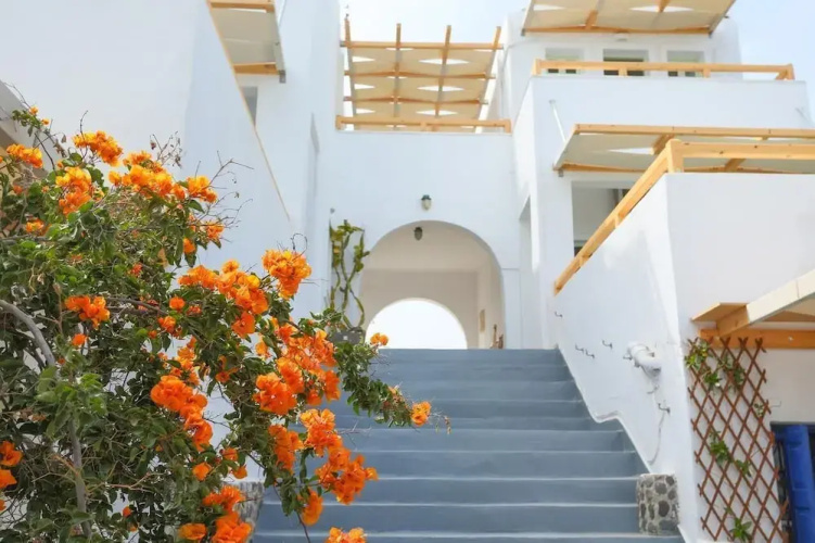 Ecoxenia Studios