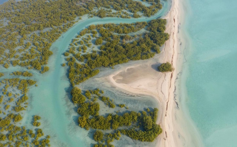 Anantara Desert Islands Resort & Spa photo 24
