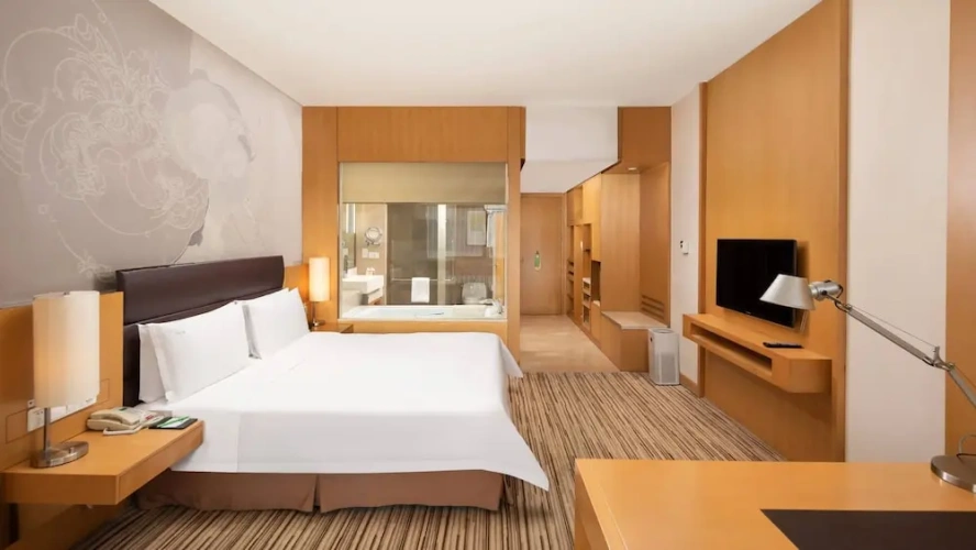 Standard Lounge Access Double room