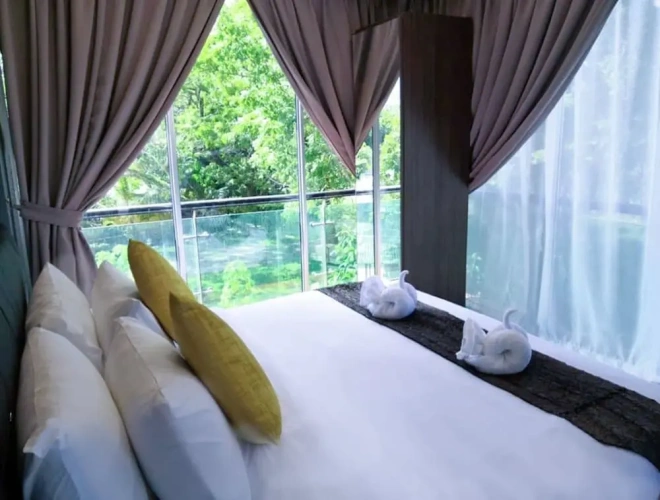 Deluxe Double room with balcony