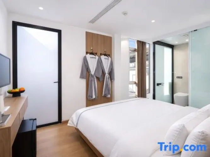 Deluxe Double room with balcony and with city view