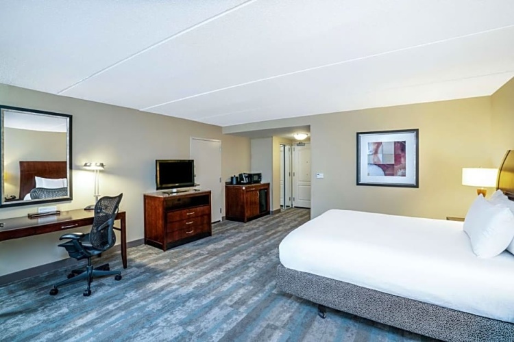 1 Bedroom Suite