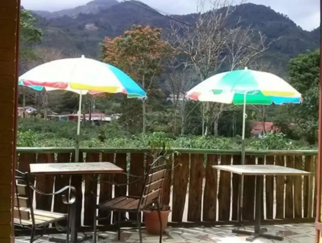 House Of Coffee