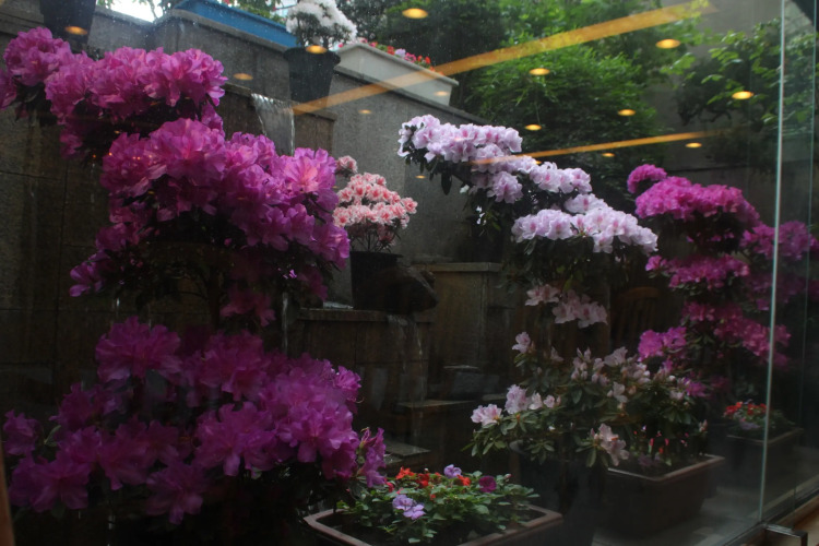 seoul rex hotel Over view