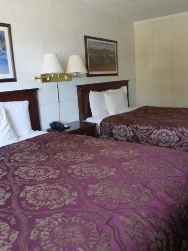 Standard Double Suite with view