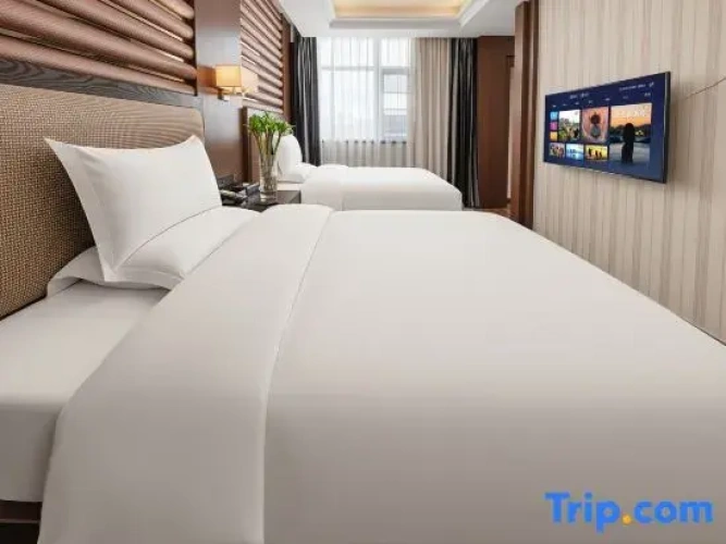 Quadruple Suite