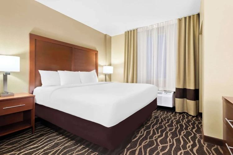 Standard Double Suite