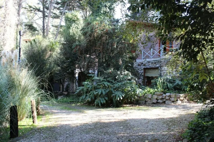 Deluxe Bungalow