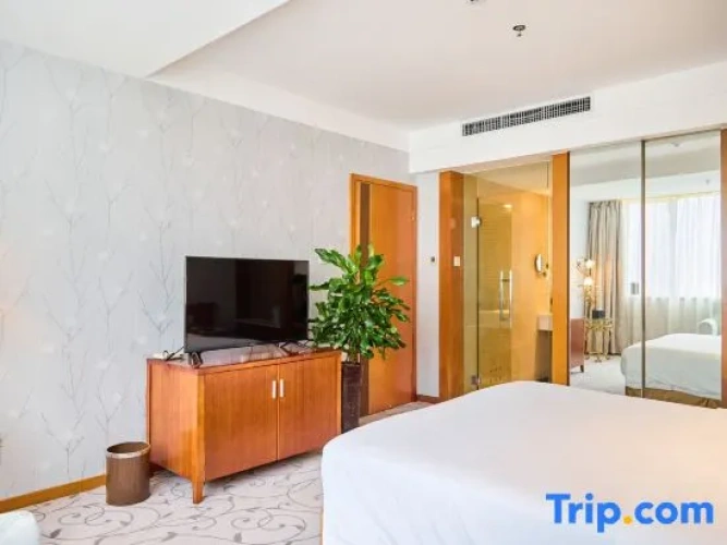 Business Suite