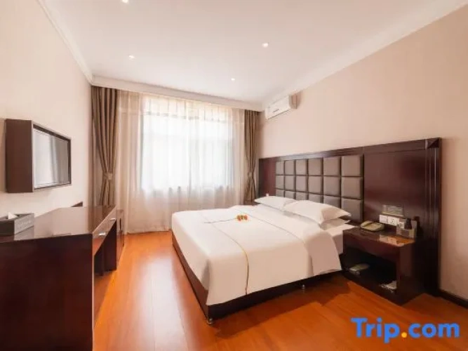 Comfort Suite
