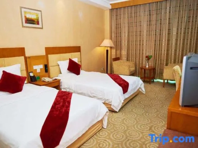 Business Twin Suite