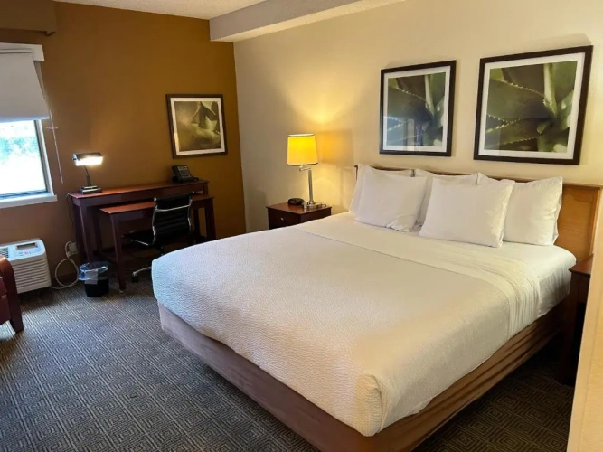 Standard Double room
