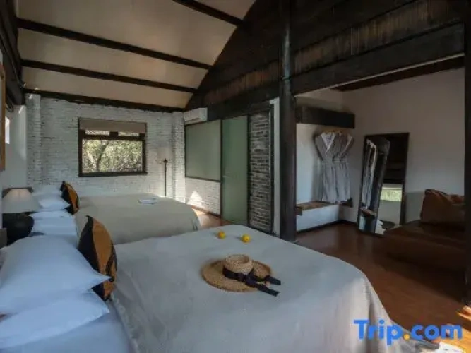 1 Bedroom Suite