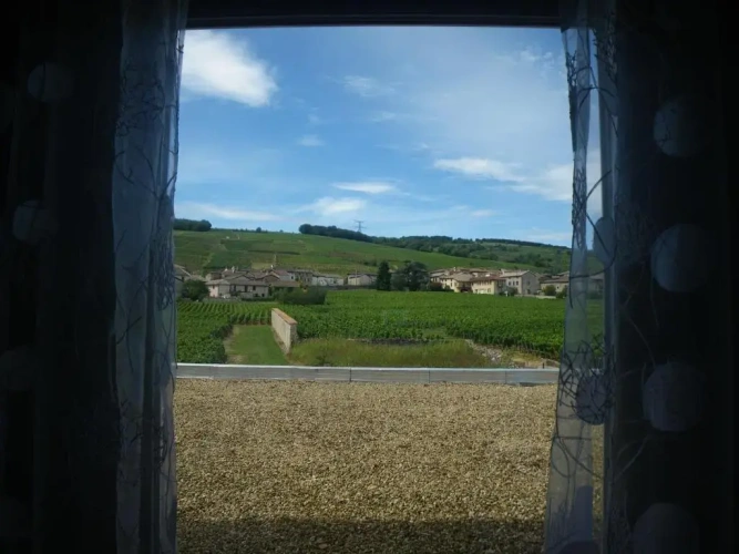 Standard Double room with balcony and with view
