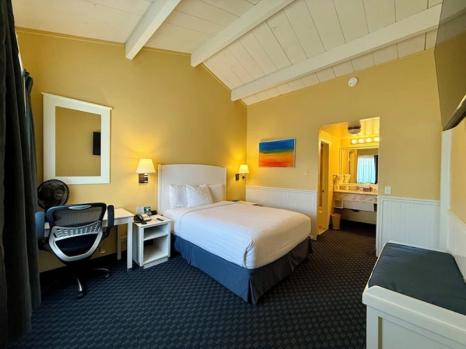 2 Bedrooms Standard Single room