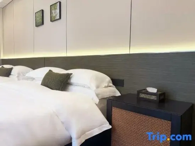 Premier Twin room
