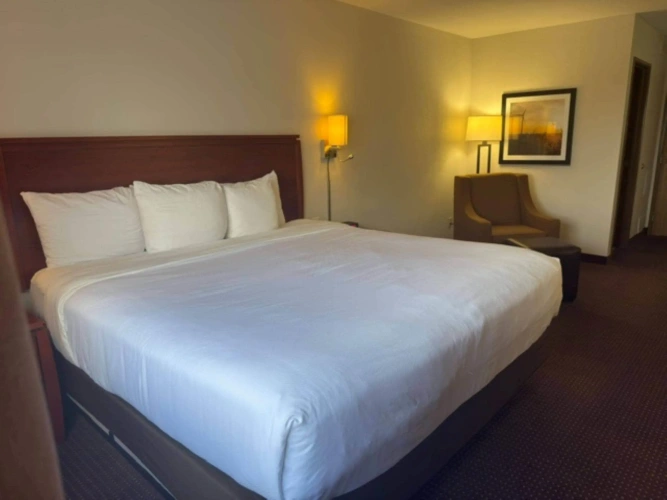 Standard Double room