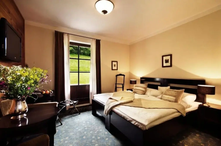 Standard Double room with view