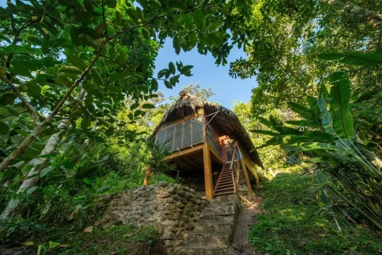 Bungalow
