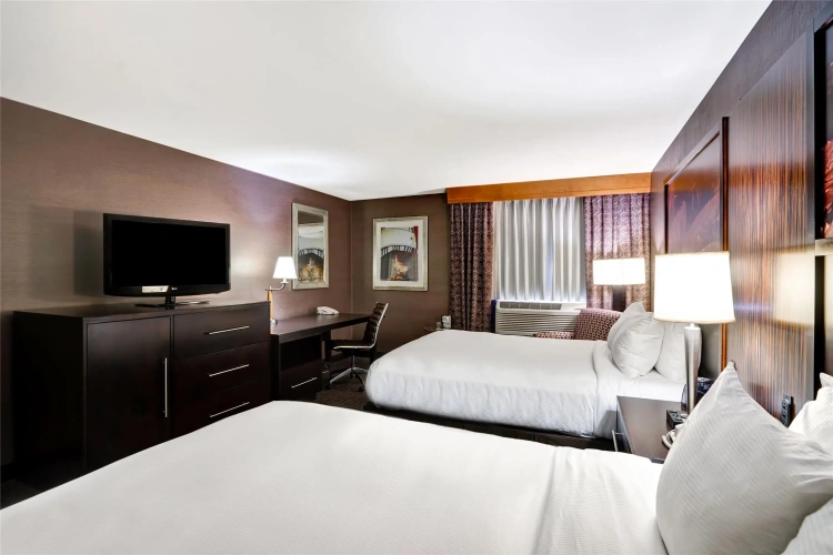 Deluxe Double room with city view