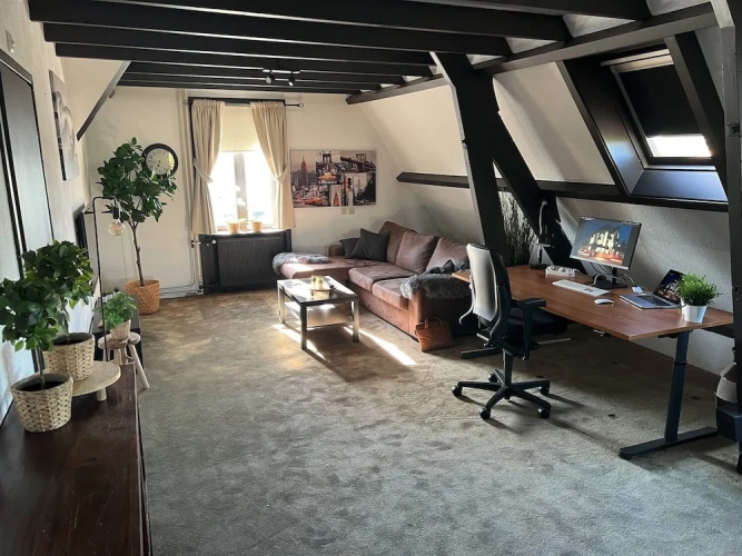 Business Apartment