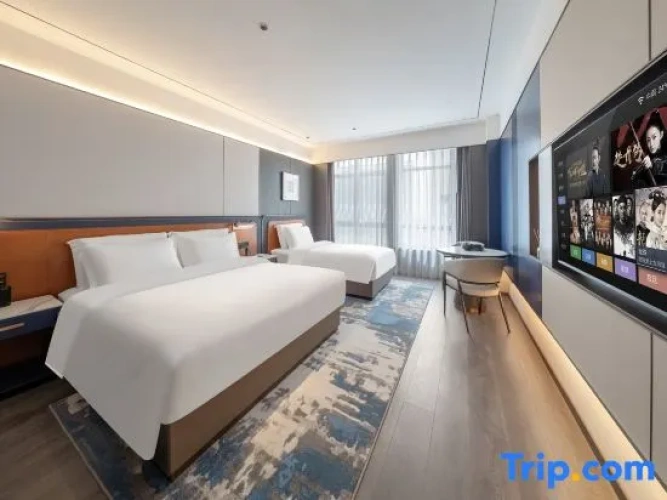 Standard Double Family room