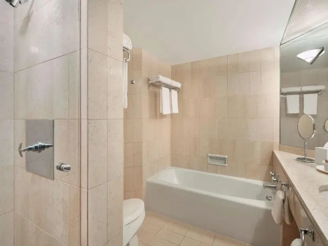 Double Suite with balcony and with city view