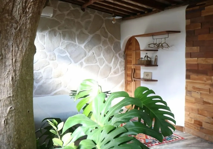 Roots Tree House