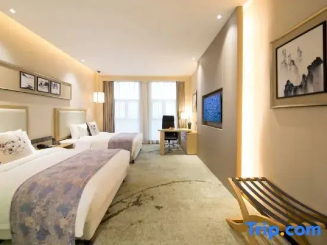 Business Twin room with city view