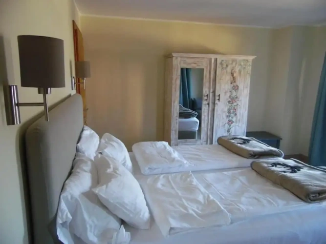 Standard Double room with balcony and with mountain view