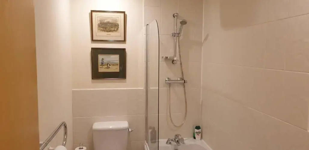 Elite luxury apartment