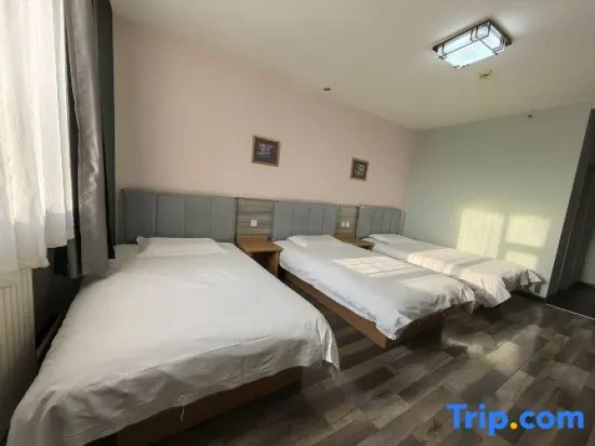 Standard Triple room with city view