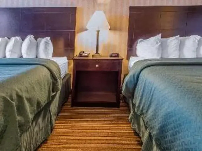Comfort Inn