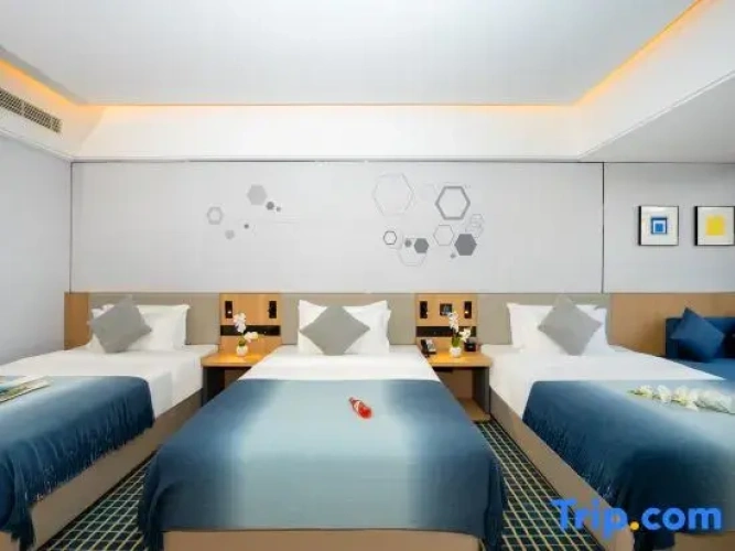 Standard Double Family room